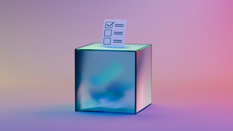 Dmitrii Vaccinium Itpd Jy7C C7C Unsplash