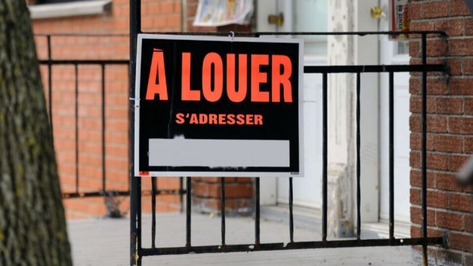 Logement A Louer