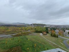 Img 1377