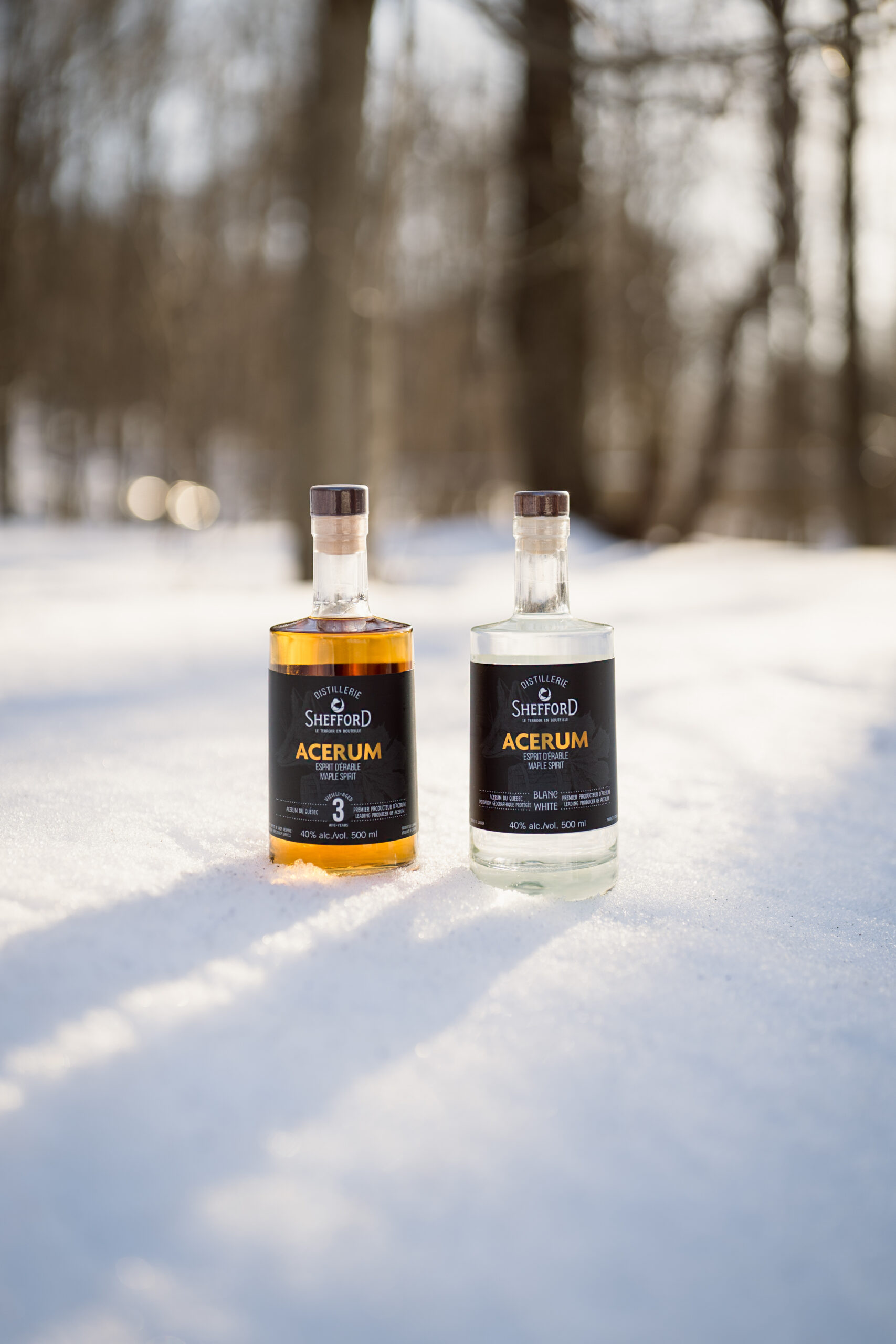 Ppaq 250314 77 Scaled