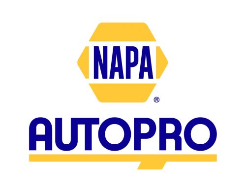 Logo Npa Autopro 2024 11 21