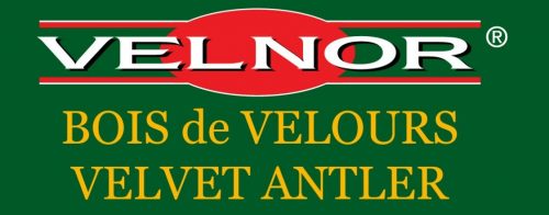 Logo Velno Couleur 0 2025 04 16