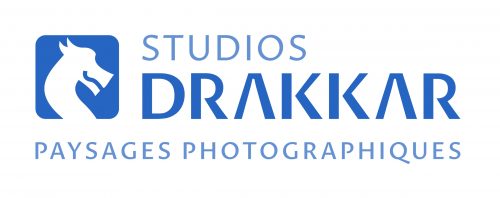 Logo Bleu Studios Drakkar Jpg 2023 11 27