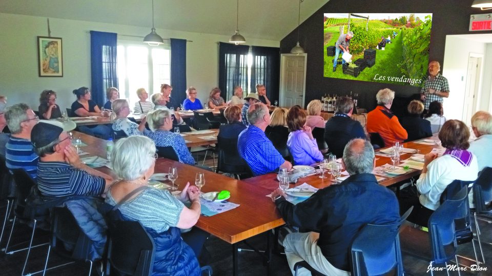 50 Quebec Ouest Degustation Et Vendanges Cmjn