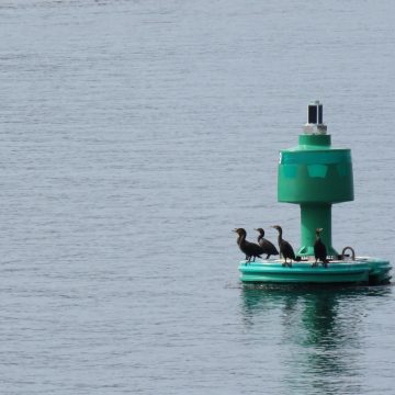 Croisiere Sur Le Fjord 24 Aout 2022 14