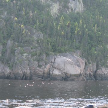 Croisiere Sur Le Fjord 24 Aout 2022 49