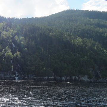 Croisiere Sur Le Fjord 24 Aout 2022 51